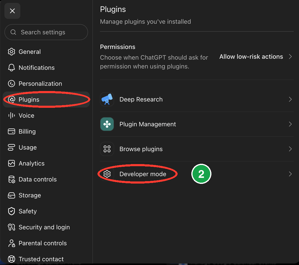ChatGPT Settings with Plugins and Developer mode circled