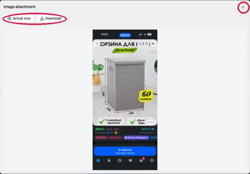A picture opened full size, with the Actual size and Download buttons circled and the close button circled